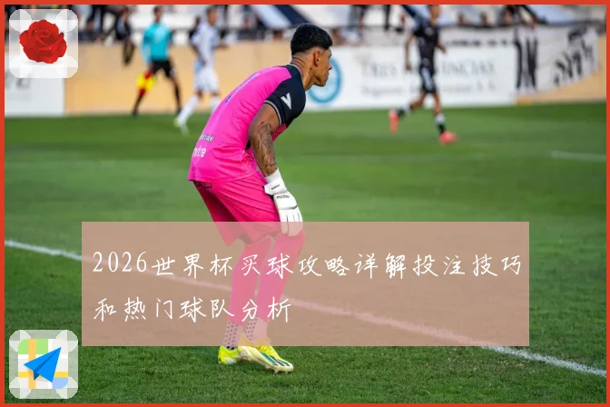 2026世界杯买球攻略详解投注技巧和热门球队分析
