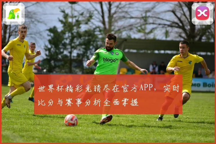 世界杯精彩竞猜尽在官方APP，实时比分与赛事分析全面掌握